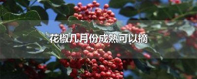 ​花椒几月份成熟可以摘