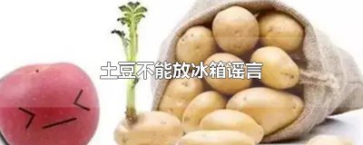 ​土豆不能放冰箱谣言