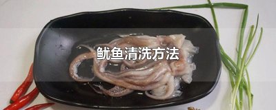 ​鱿鱼清洗方法