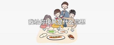 ​我给你接风是什么意思