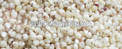 ​高粱米煮饭前要泡多久