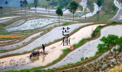 ​芒种骨气的含意是什么，仲夏季节正式启始（每年的6月5日或者6日）