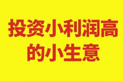 ​有什么小投资可以做（小投资生意10种本小利大等你赚）