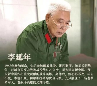 ​李延年简介（李延年介绍）