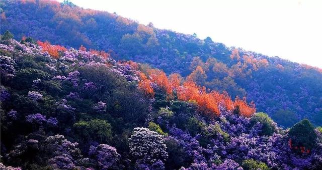 攀枝花必玩景点推荐（攀枝花这10大值得打卡的小众景点）(23)