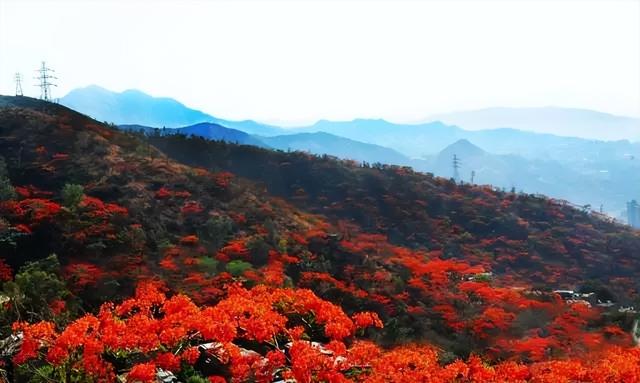 攀枝花必玩景点推荐（攀枝花这10大值得打卡的小众景点）(32)