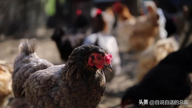 海上大逃杀真实故事（太平洋上发生一起）(27)