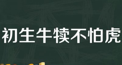 ​犊子是什么意思，犊子是什么意思呢？