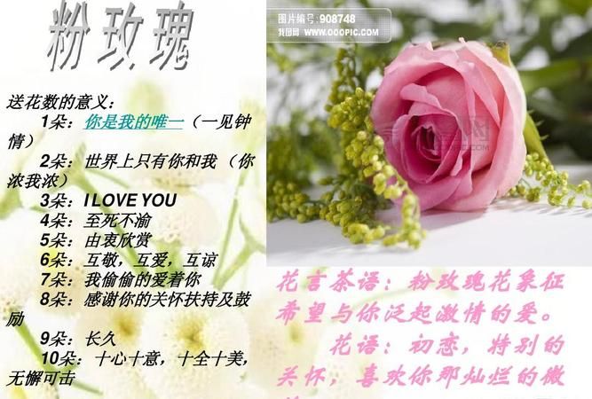 玫瑰花朵数含义,玫瑰花朵数的含义