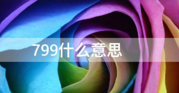 799什么意思,火爆全网的799是什么意思?图4