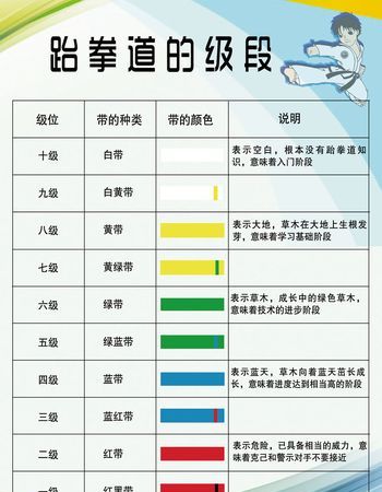 跆拳道的级别和段位是如何划分的