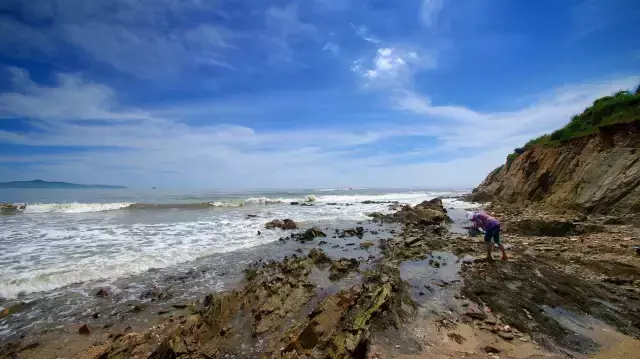 离沈阳最近的海边在哪(离沈阳最近的大海)