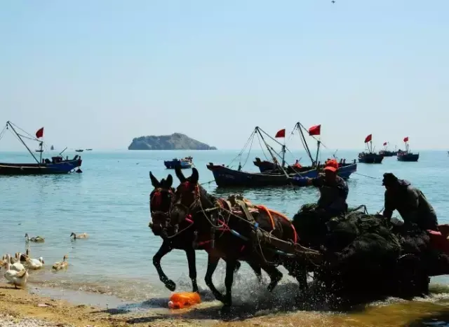 离沈阳最近的海边在哪(离沈阳最近的大海)