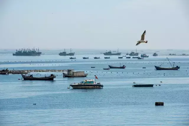 离沈阳最近的海边在哪(离沈阳最近的大海)