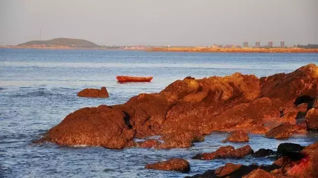 离沈阳最近的海边在哪(离沈阳最近的大海)