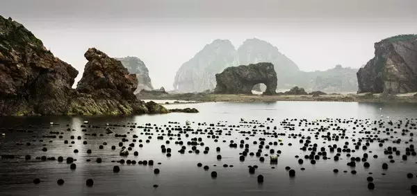 离沈阳最近的海边在哪(离沈阳最近的大海)