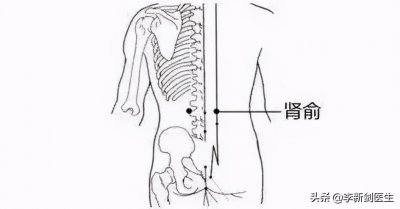 ​肾俞 穴位密码-肾俞穴 “在第十四椎下两旁各一寸五分”