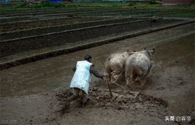 ​人生4大喜事是什么（中国民间四大喜事都是什么你知道吗？）