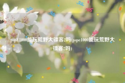 ​pspE1000能玩荒野大镖客2吗(pspe1000能玩荒野大镖客2吗)