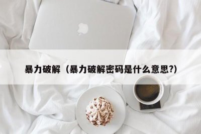 ​暴力破解（暴力破解密码是什么意思?）