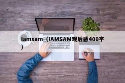 ​Iamsam（IAMSAM观后感400字）