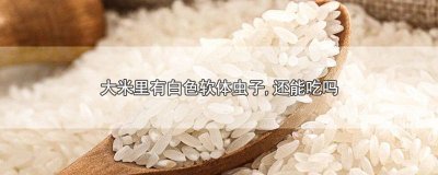 ​大米里面有白色虫子怎么办,还能吃吗 大米里面长白色虫子还能吃吗