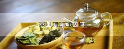 ​茶里有咖啡因吗