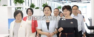 ​高校群团组织是指什么 村委会群团组织是指什么