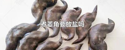 ​煮菱角要放盐吗煮多久 煮菱角要放盐吗