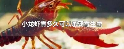 ​小龙虾煮多久可以杀死寄生虫子 小龙虾煮多久能杀死寄生虫