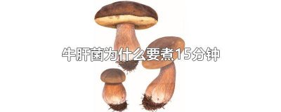 ​牛肝菌为什么要煮15分钟 牛肝菌为什么要煮15分钟才能吃