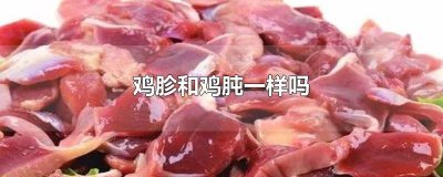 ​鸡胗是啥样的 鸡肫跟鸡胗