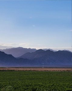 ​华东赤霞珠干红葡萄酒五年窖藏