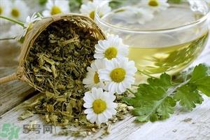 喝菊花茶有有什么好处?菊花茶的功效与作用