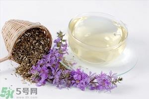 喝菊花茶有有什么好处?菊花茶的功效与作用