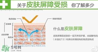 玉泽和至本哪个好？玉泽和至本区别对比