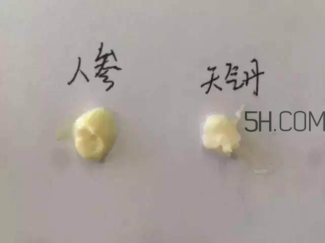 雪花秀人参面霜和whoo后天气丹面霜哪个好?