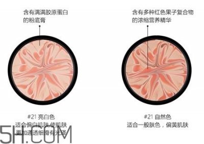 ​vt红果果拉花气垫色号_vt红果果拉花气垫试色图