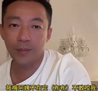 ​汪小菲公开孩子对Mandy的称呼 小箖箖暂未改口叫妈