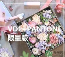 vdl限量版眼部妆前乳多少钱?vdl限量版眼部打底专柜价格