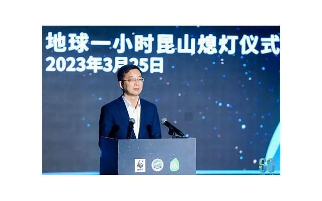 2025关于婚礼的光棍节表白（光棍节结婚的说说）