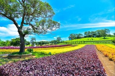 ​台湾城市介绍系列之桃园